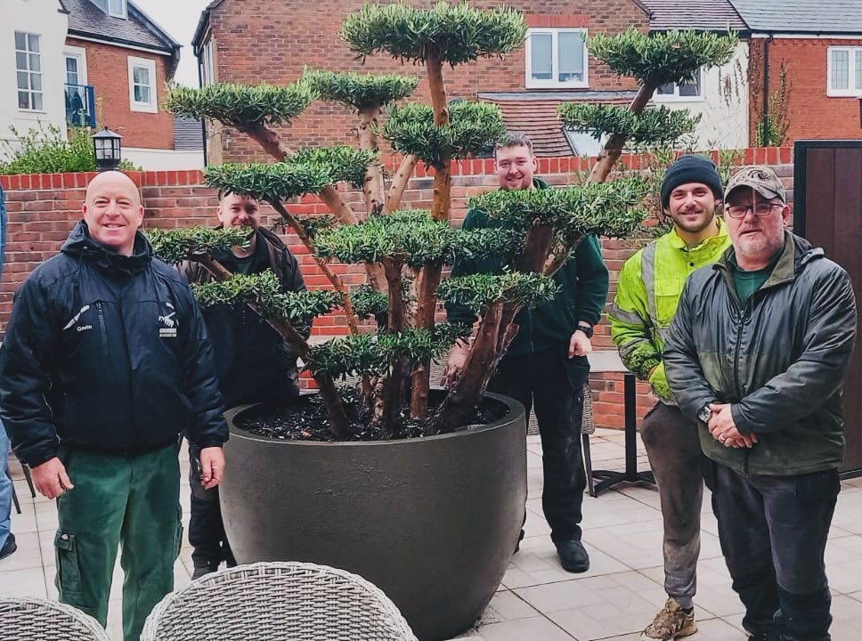 Hortulan Gardening